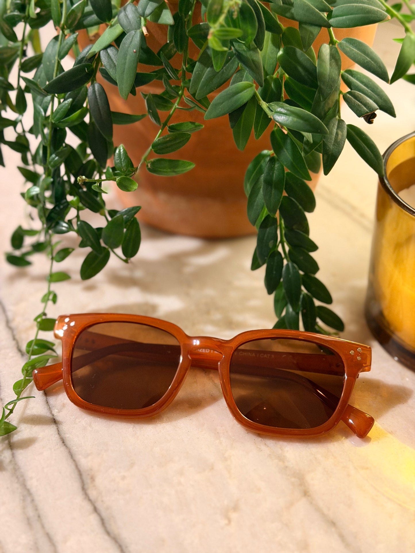 Easy Rider Sunglasses