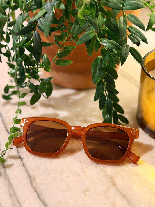 Easy Rider Sunglasses