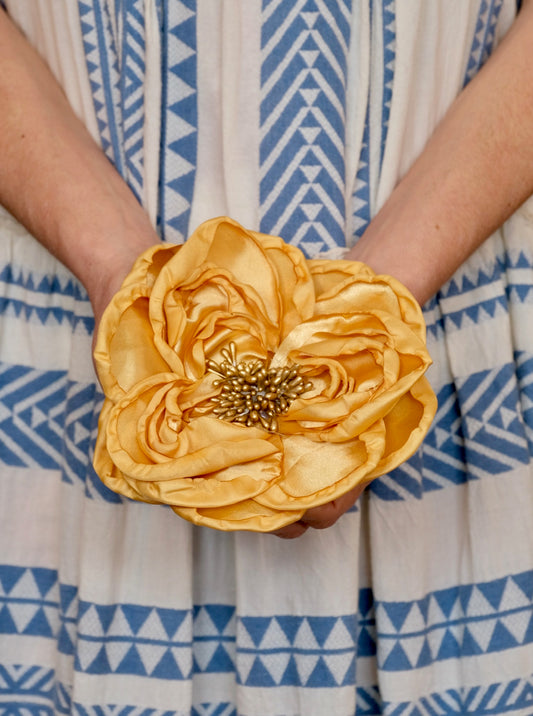 Rosarium Flower in Golden Hour