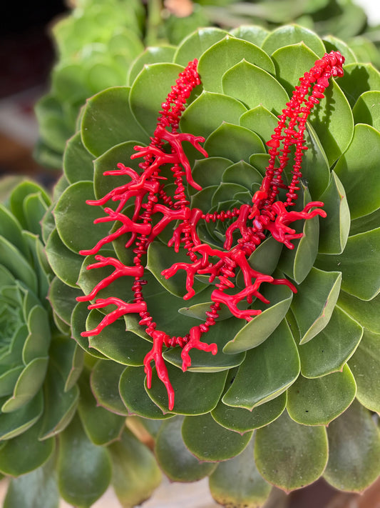 Resin Coral Branch Necklace