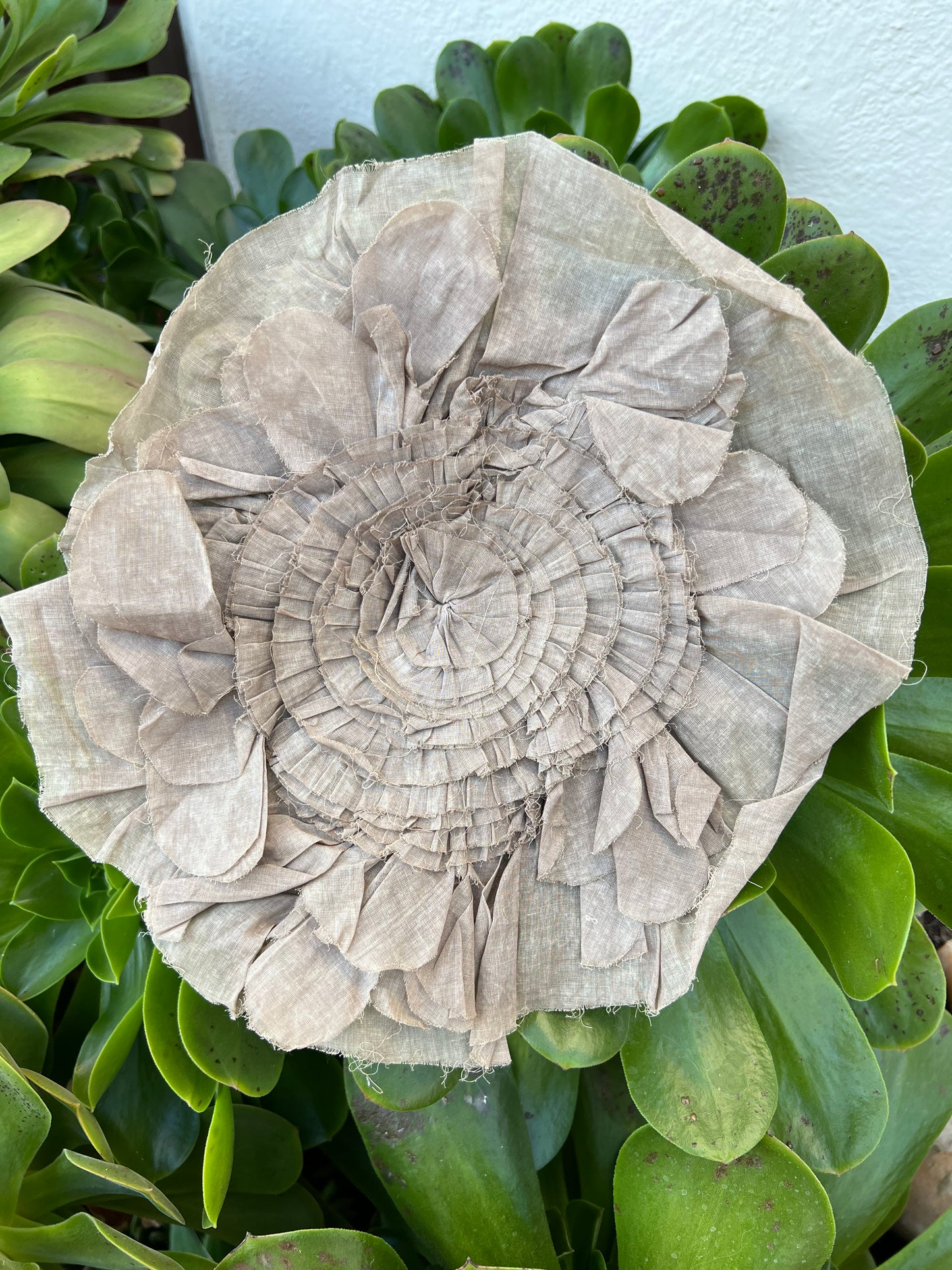 Bakery Flower Oat CO