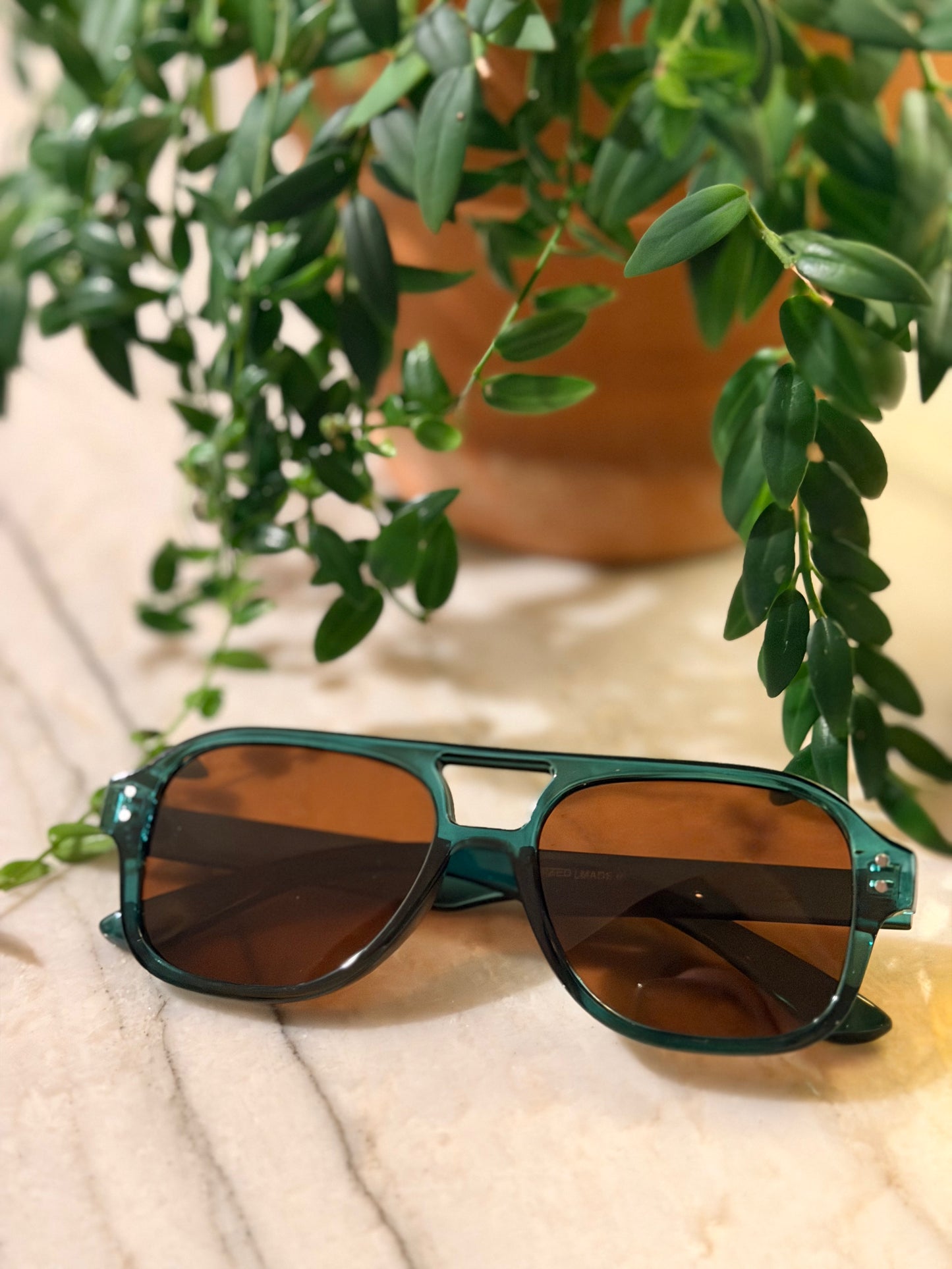 International Sunglasses