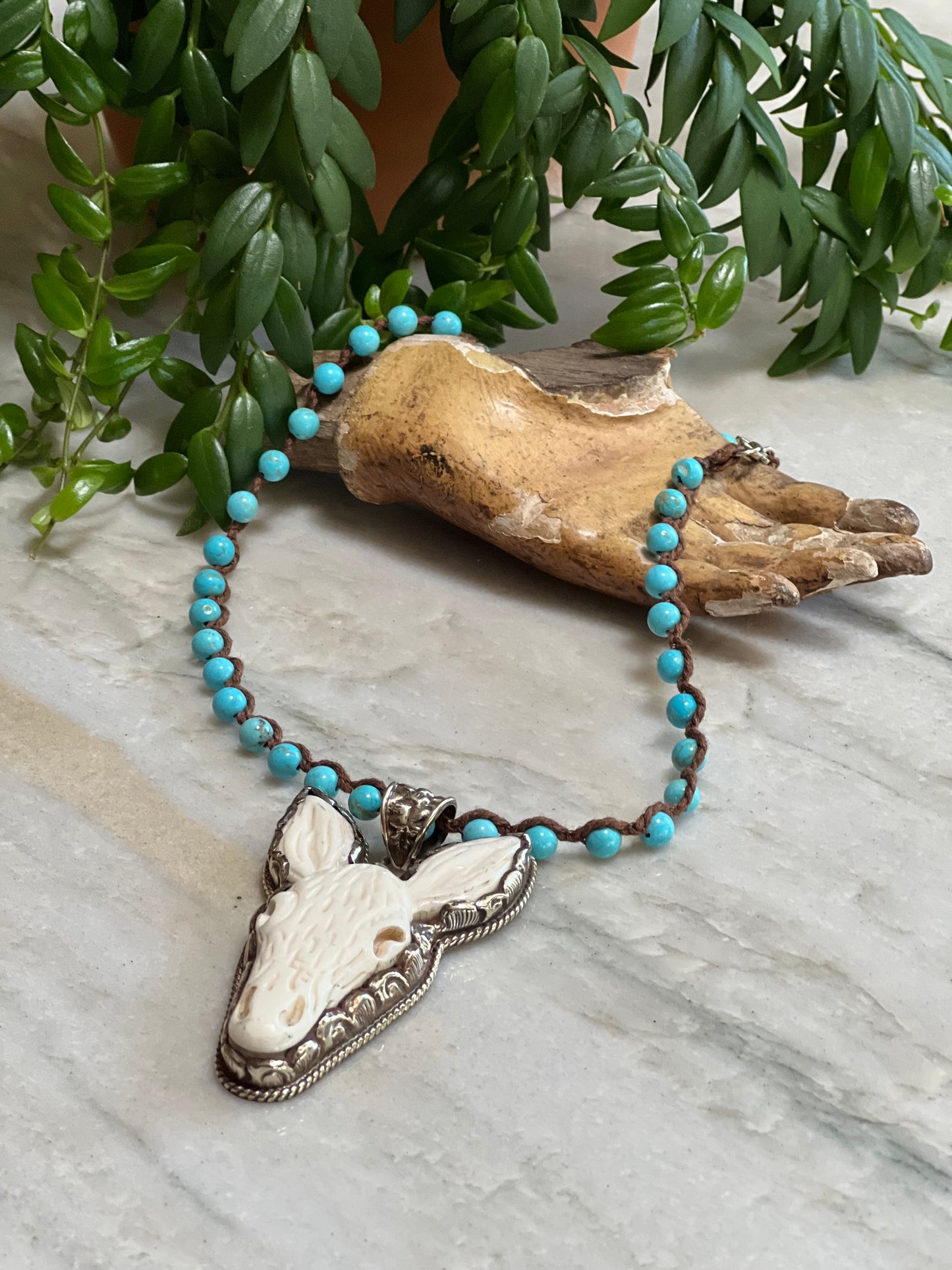 Dear Donkey On Turquoise