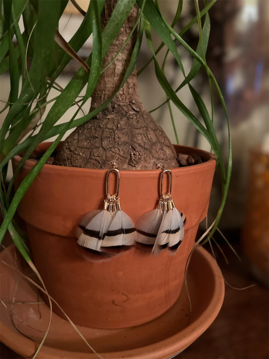 Feather Stripe Earring