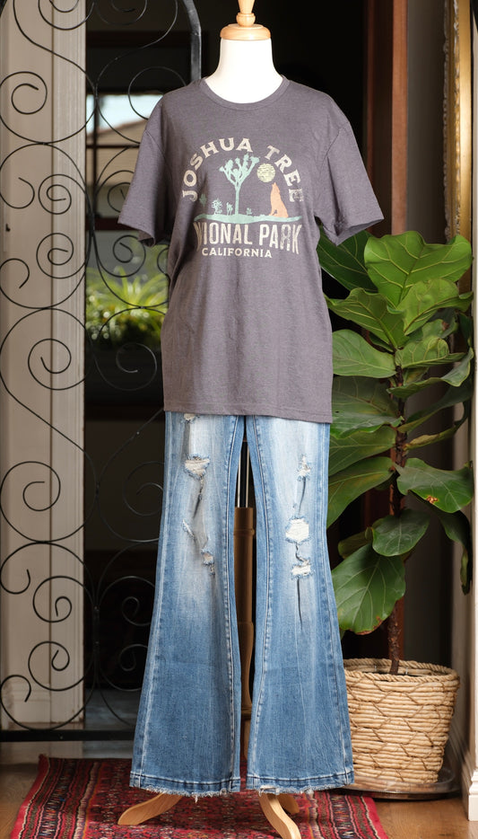 National Park Joshua Tree