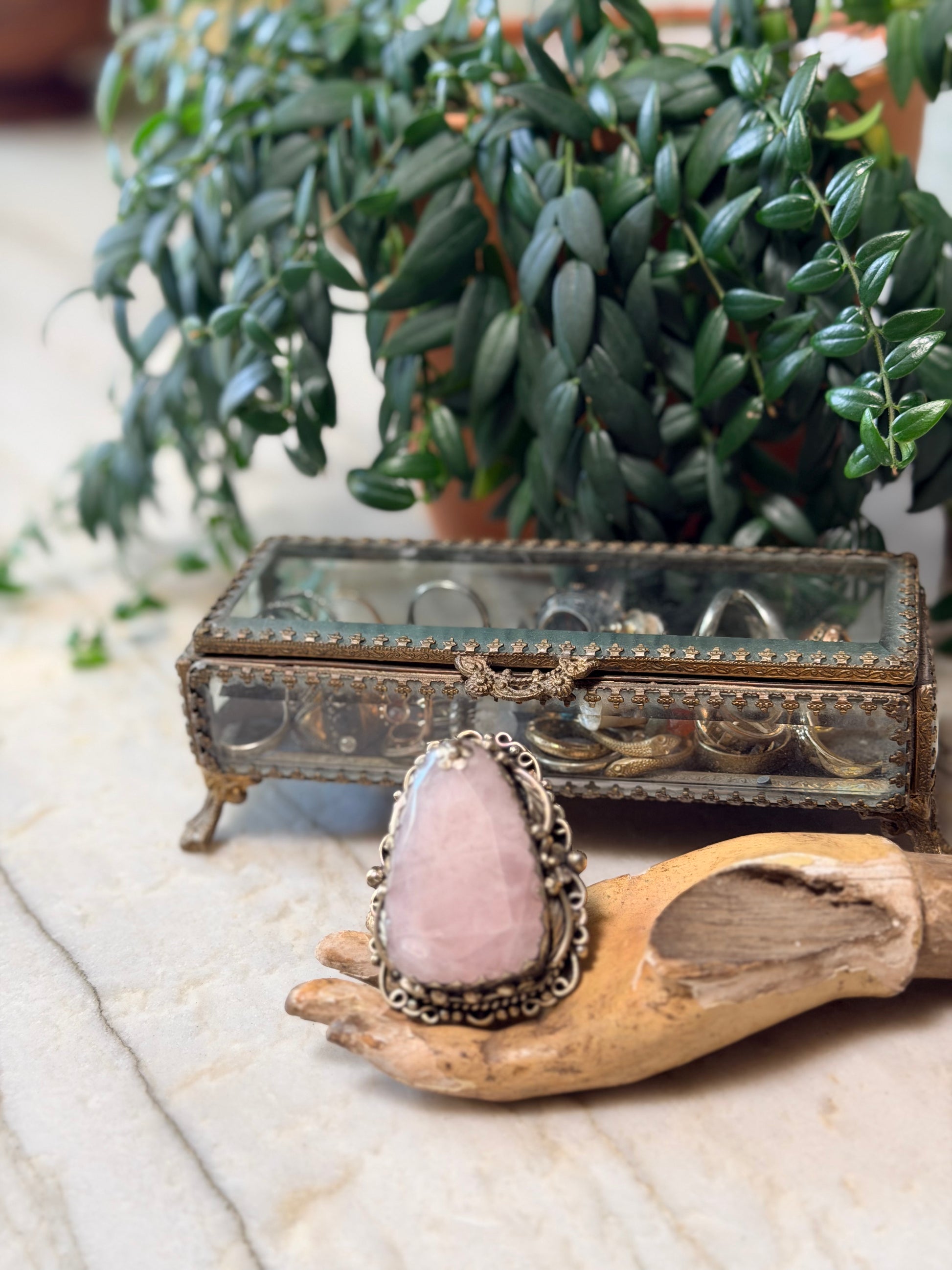 silver tone ring

silver tone

rose quartz ring

ring

chateau bel age