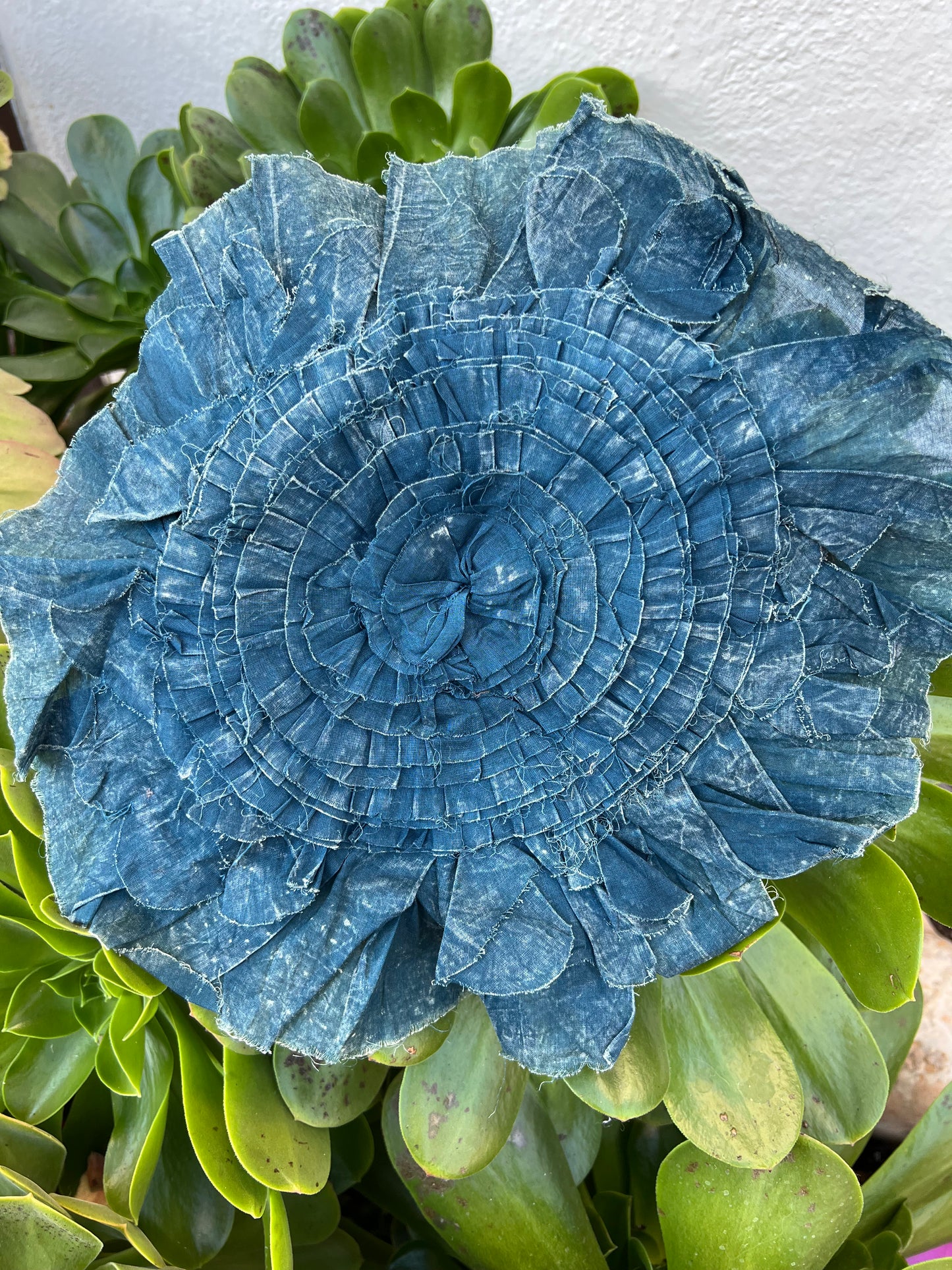 Bakery Flower Dark Teal CO